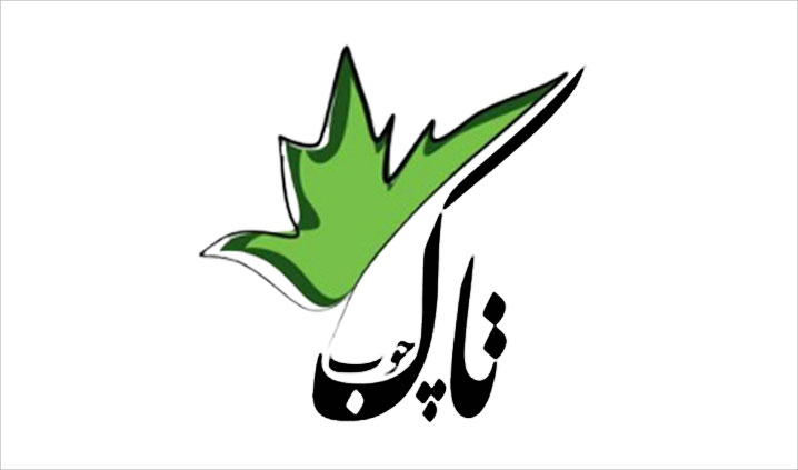 آموزش نجاری بانوان